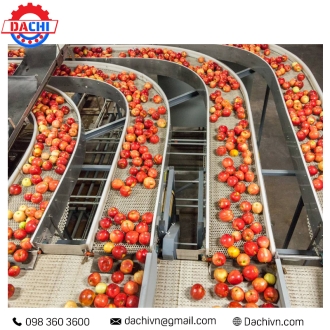 Trục con lăn băng tải  cho ngành thực phẩm